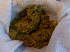 Löwenzahnblütenblätter Löwenzahnblütenblätter ausgekocht