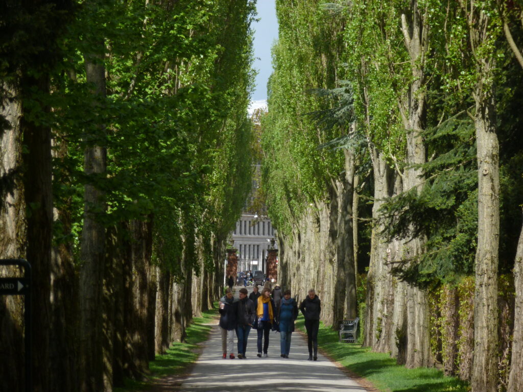 Allee