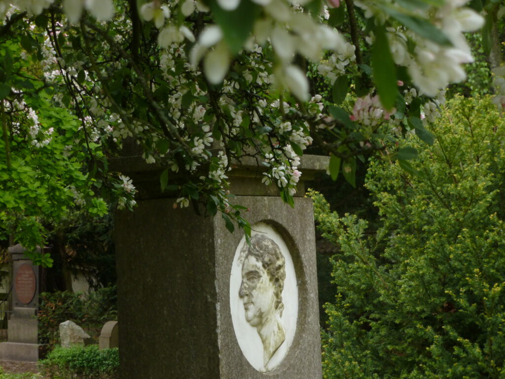 Grabstein, Apfelbaum.