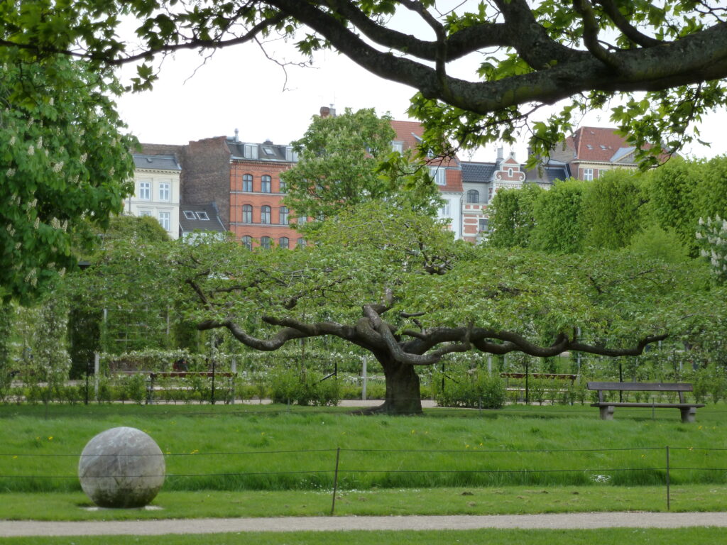 P1010935 Kongens Have