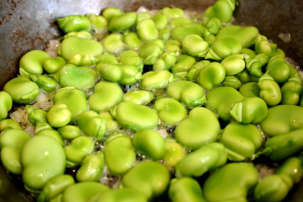 Dicke Bohnen BFreith5