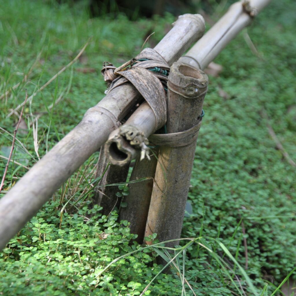 Liebevoll gebaute Bambuszäune, inmitten von Soleirolia. Übrigens ein Brennnesselgewächs, wusste ich vorher auch nicht. Wird bei uns in Blumenläden als Bubiköpfchen verkauft.