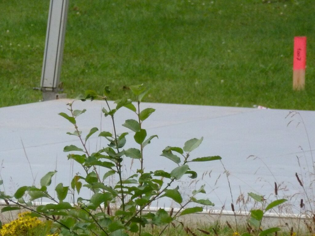 P1060581