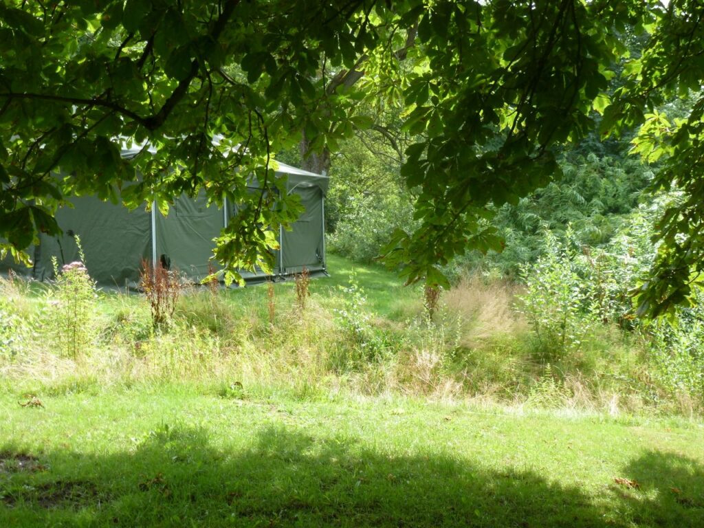 Teichlage: idyllisch oder fußkalt?