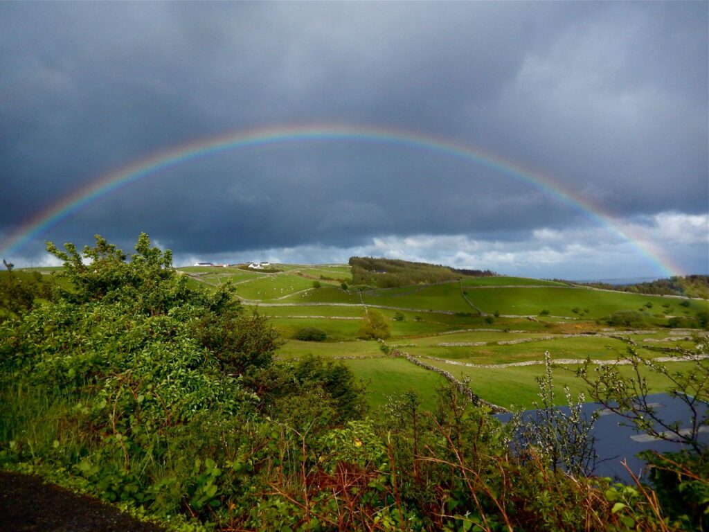Regenbogen 